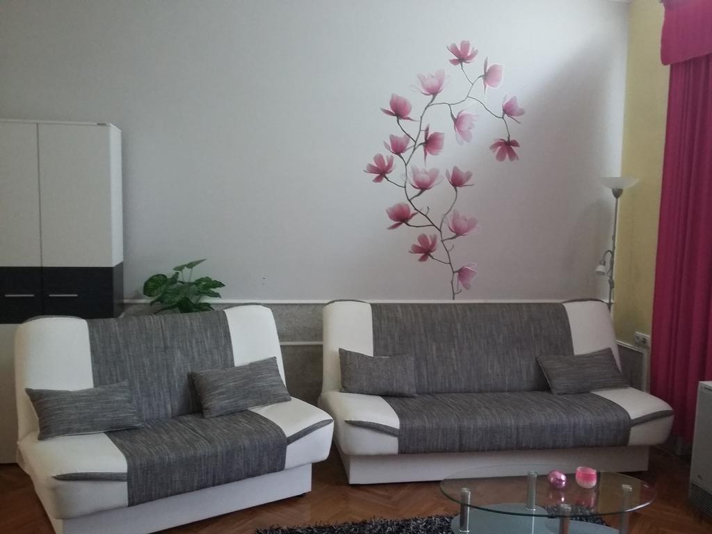 Guest House Anna Vendeghaz Svetozar Miletic Ngoại thất bức ảnh